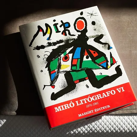 Hotel Joan Miro Museum 4*